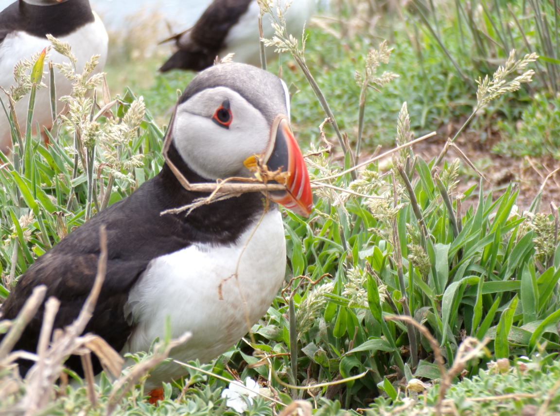 'Nature Workers' Photo Competition