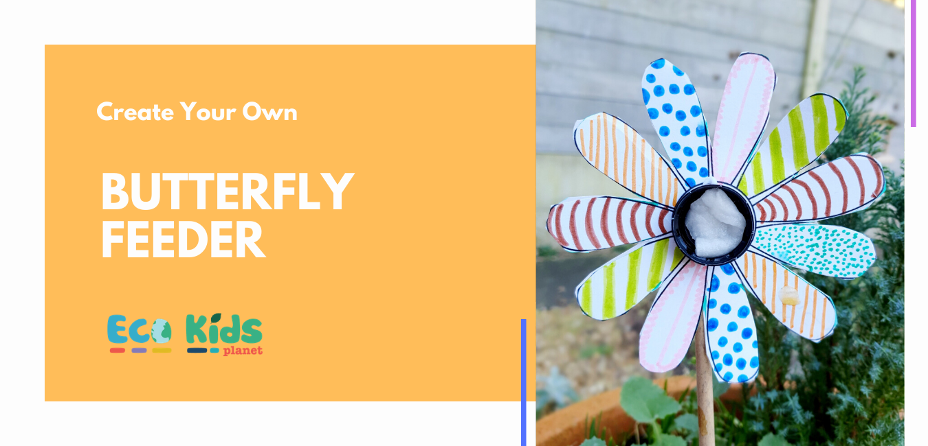 Make Your Own: Butterfly Feeder - Eco Kids Planet