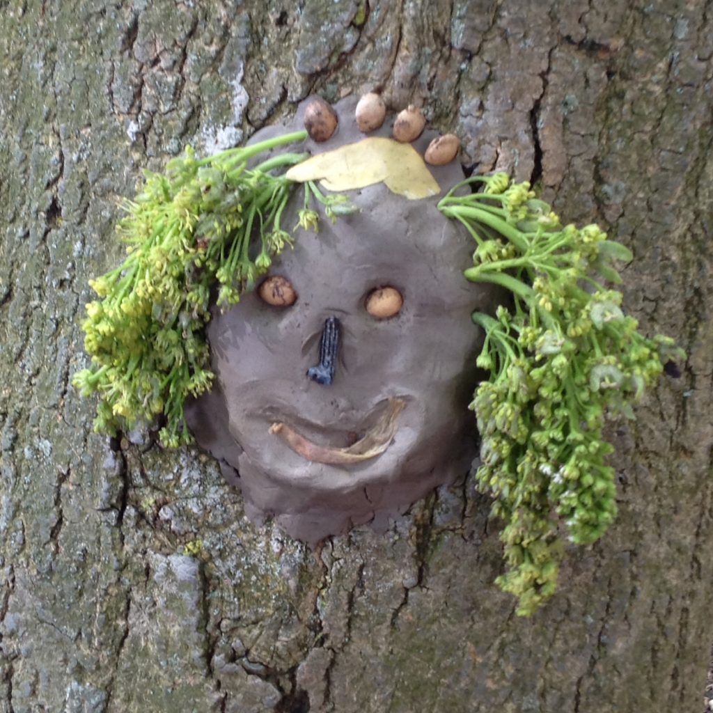 Monthly Competition: Forest Faces - Eco Kids Planet