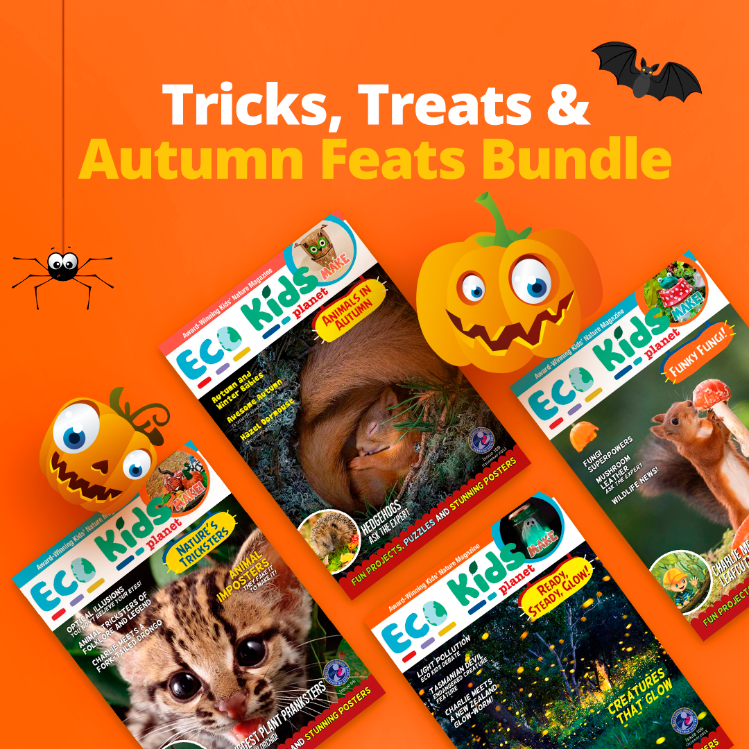 Tricks, Treats & Autumn Feats Bundle