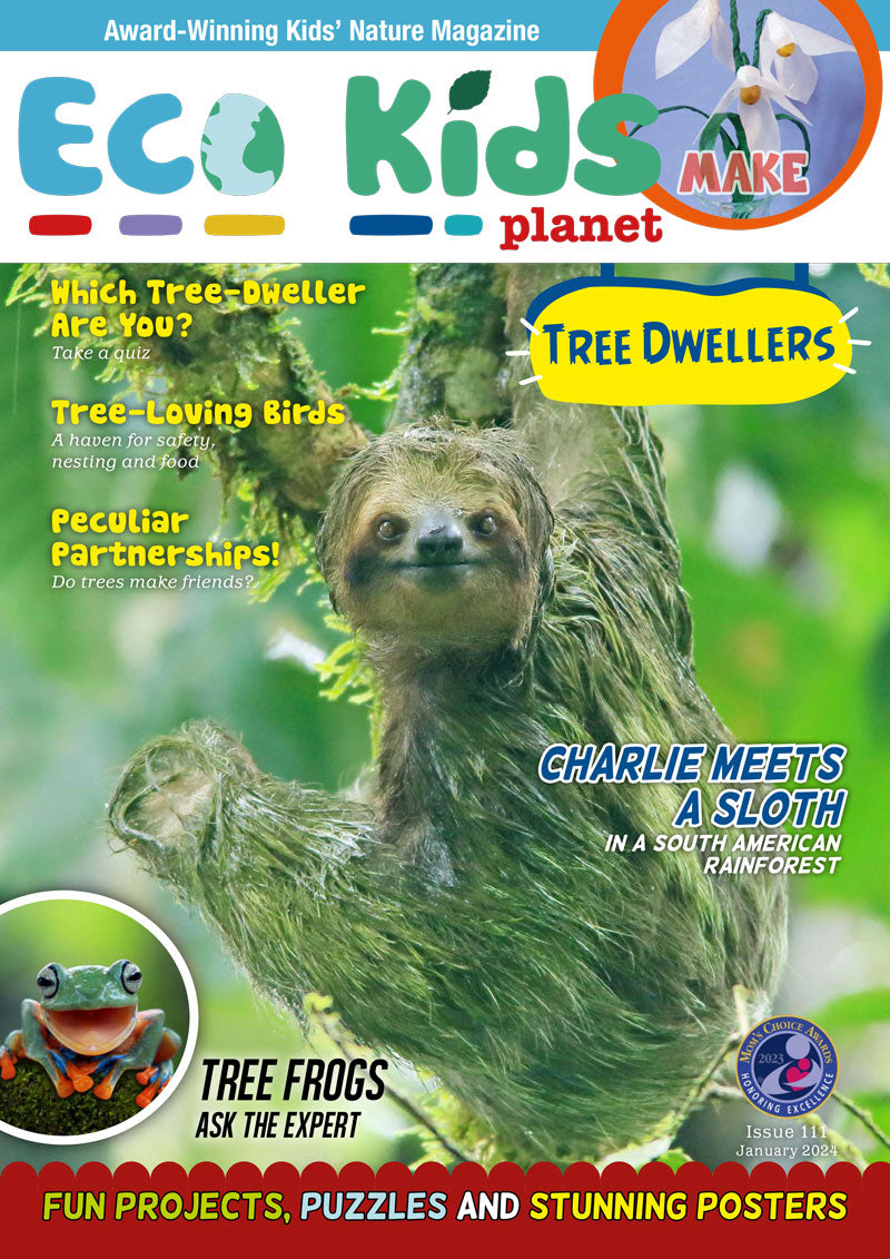 Eco Kids Planet  – Bundle of Six