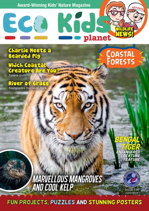 Kid's Nature Magazines – Issue 116 – Coastal Forests