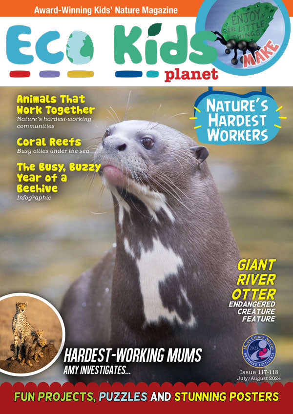 Kid's Nature Magazines – Issue 117-118 – Nature's Hardest Workers