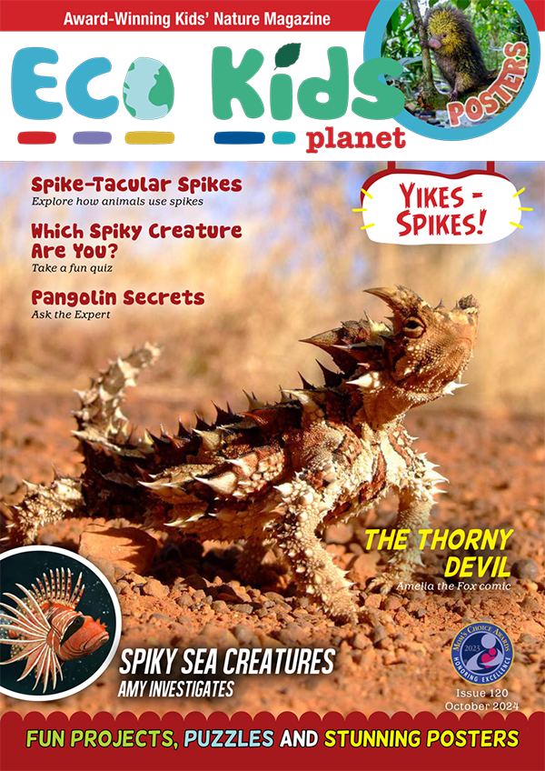 Kid's Nature Magazines – Issue 120 – Yikes – Spikes!