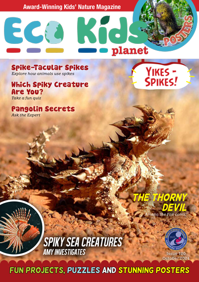 Eco Kids Planet Magazine – Gift Subscription