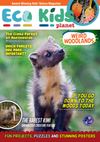 Kid&#39;s Nature Magazines – Issue 121 – Weird Woodlands