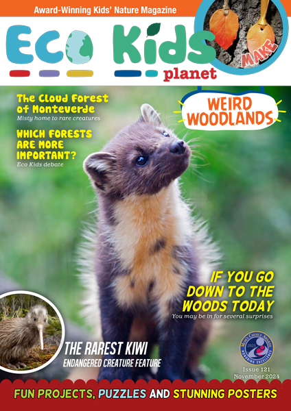 Kid's Nature Magazines – Issue 121 – Weird Woodlands