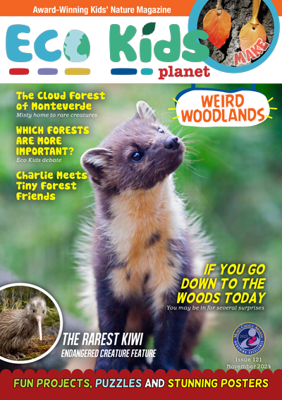 Eco Kids Planet Magazine – Standard Subscription