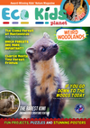 Eco Kids Planet Magazine – Gift Subscription