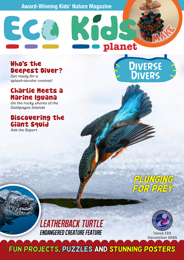 Kid's Nature Magazines – Issue 122 – Diverse Divers