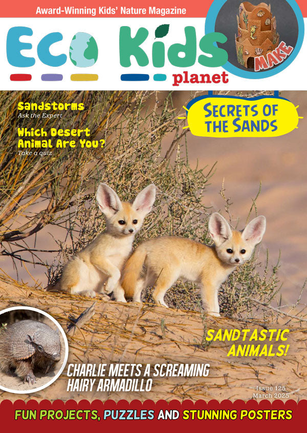 Eco Kids Planet Magazine –  Subscription for Children