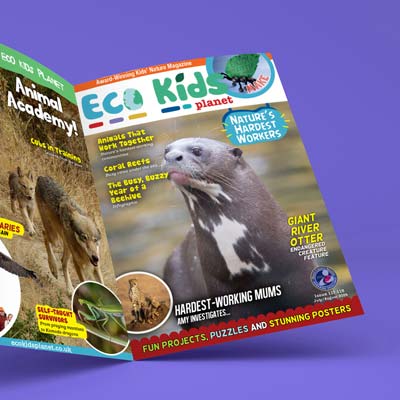 Kids Nature Magazines in UK - Eco Kids Planet