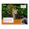 Eco Kids Planet Calendar 2025: A Year of Animals