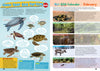 Kid&#39;s Nature Magazines - Issue 16 - The Secrets of the Caribbean Sea