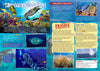 Kid&#39;s Nature Magazines - Issue 16 - The Secrets of the Caribbean Sea