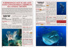 Kid&#39;s Nature Magazines - Issue 16 - The Secrets of the Caribbean Sea