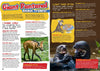 Kid&#39;s Nature Magazines - Issue 23 - Pantanal