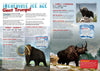 Kid&#39;s Nature Magazines - Issue 26 - The Mystery Ice Age